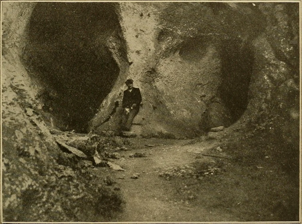 An illustration from Men of the old stone age, their environment, life and art, 1915, leaf 454