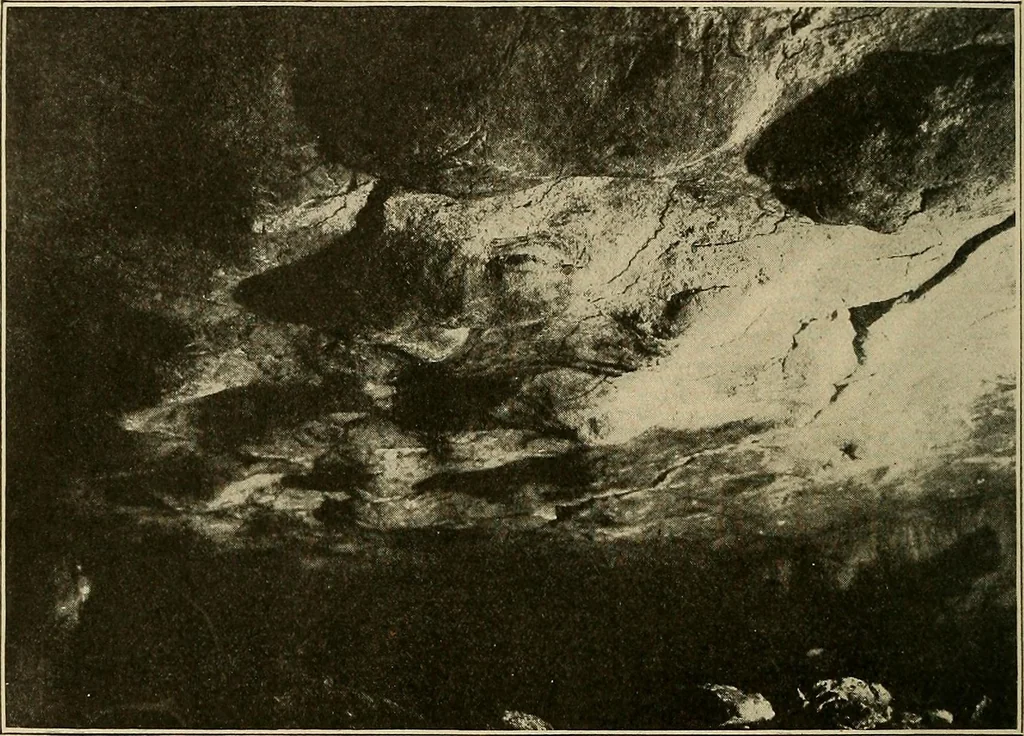 An illustration from Men of the old stone age, their environment, life and art, 1915, leaf 463