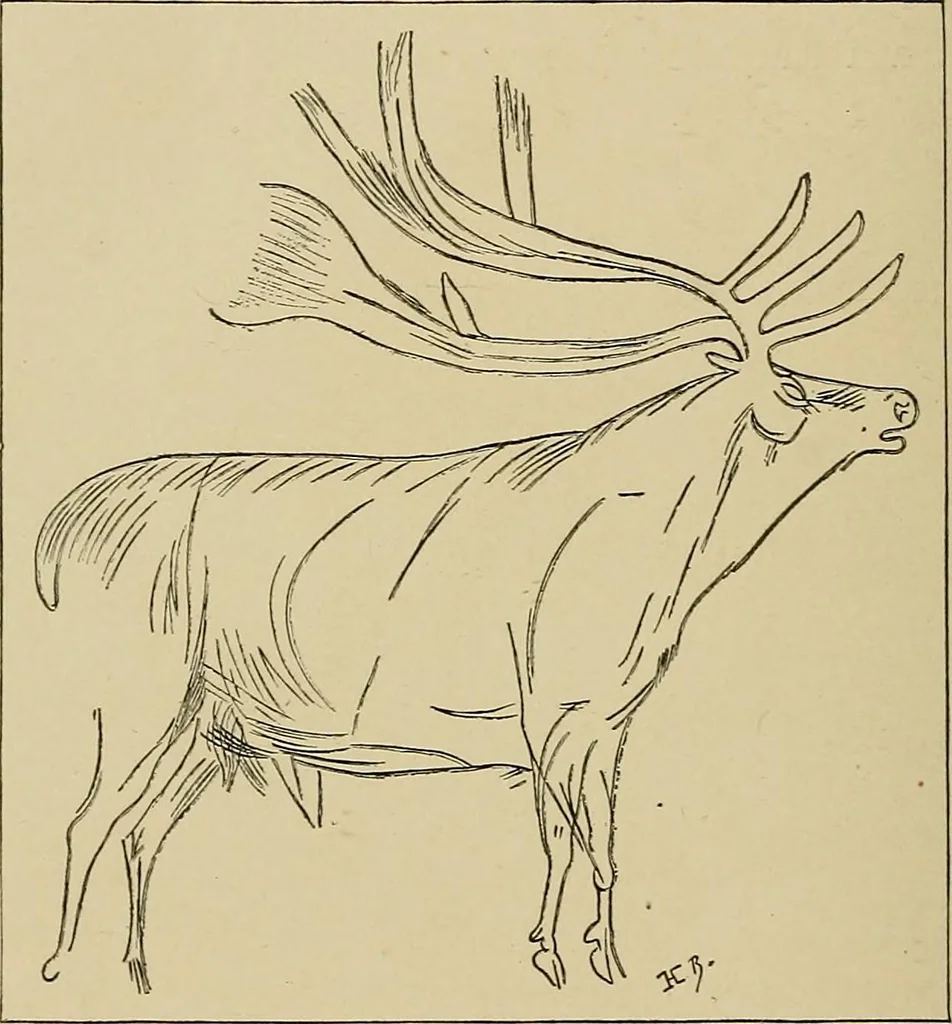 An illustration from Men of the old stone age, their environment, life and art, 1915, leaf 465