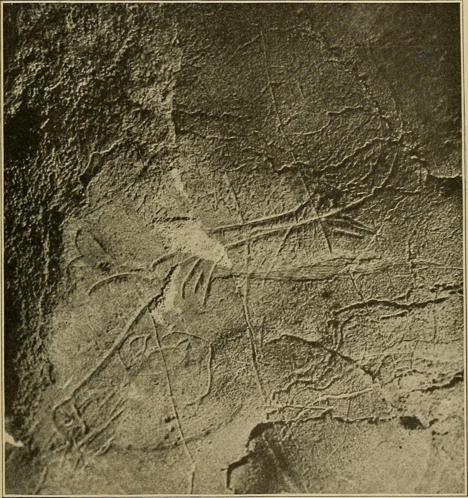 An illustration from Men of the old stone age, their environment, life and art, 1915, leaf 468