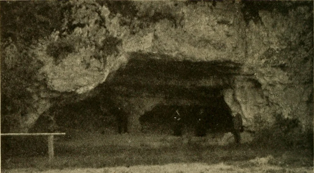 An illustration from Men of the old stone age, their environment, life and art, 1915, leaf 483