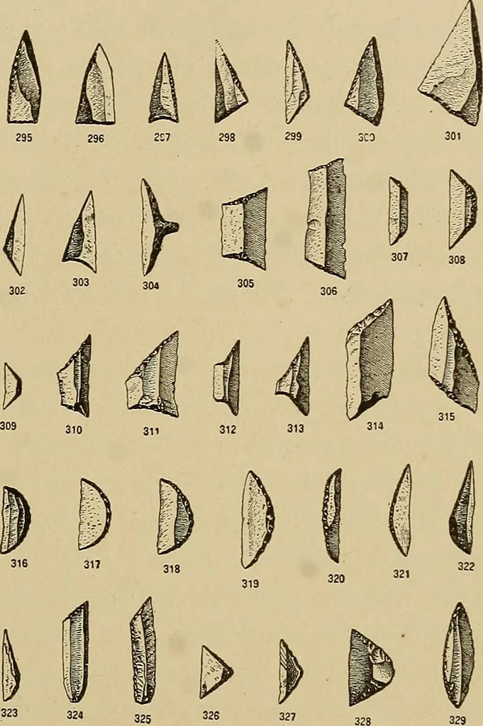An illustration from Men of the old stone age, their environment, life and art, 1915, leaf 506