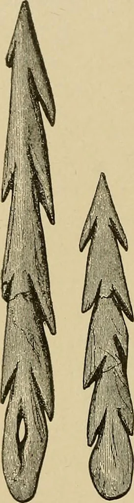 An illustration from Men of the old stone age, their environment, life and art, 1915, leaf 513