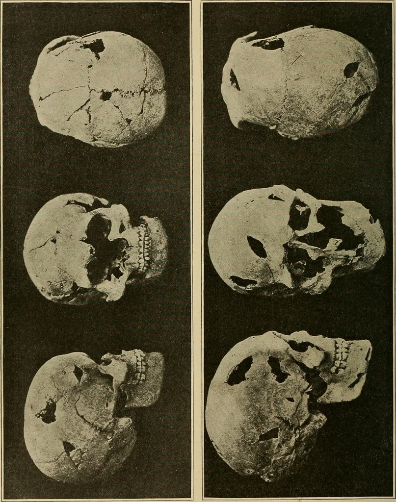An illustration from Men of the old stone age, their environment, life and art, 1915, leaf 517