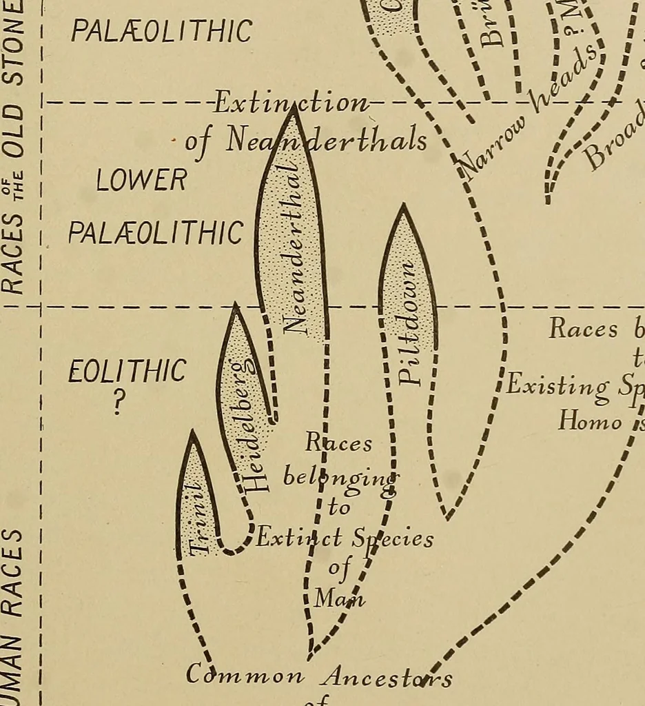 An illustration from Men of the old stone age, their environment, life and art, 1915, leaf 530