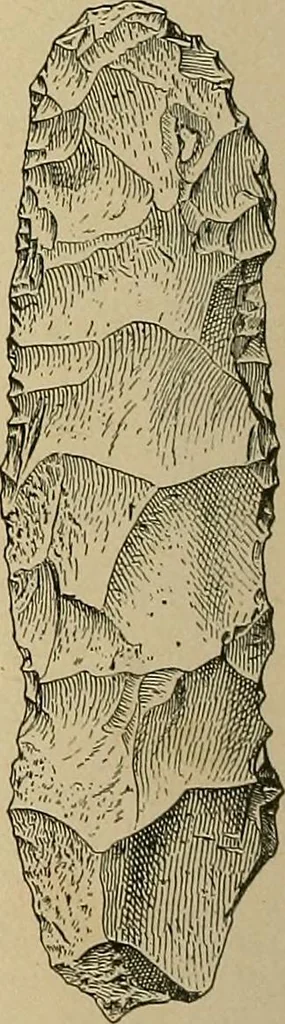 An illustration from Men of the old stone age, their environment, life and art, 1915, leaf 533