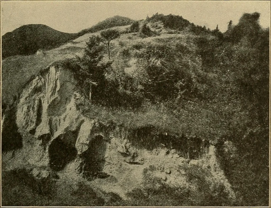 An illustration from Men of the old stone age, their environment, life and art, 1915, leaf 64