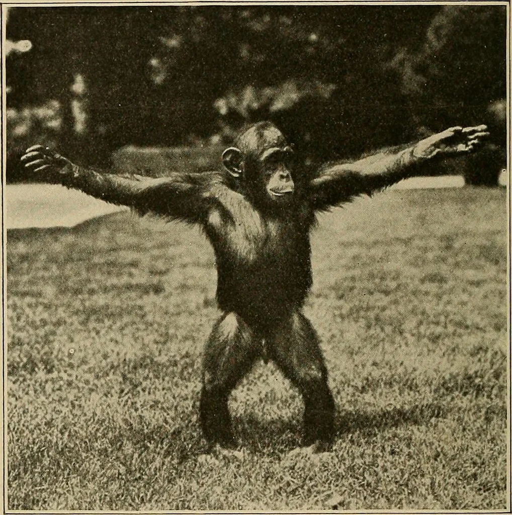 An illustration from Men of the old stone age, their environment, life and art, 1915, leaf 87