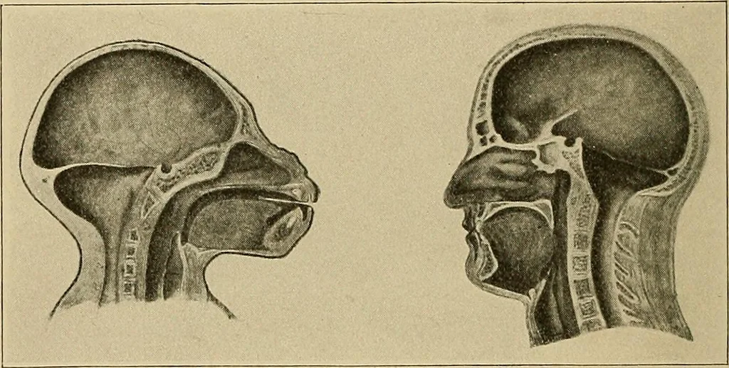 An illustration from Men of the old stone age, their environment, life and art, 1915, leaf 91