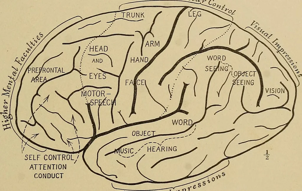 An illustration from Men of the old stone age, their environment, life and art, 1915, leaf 92