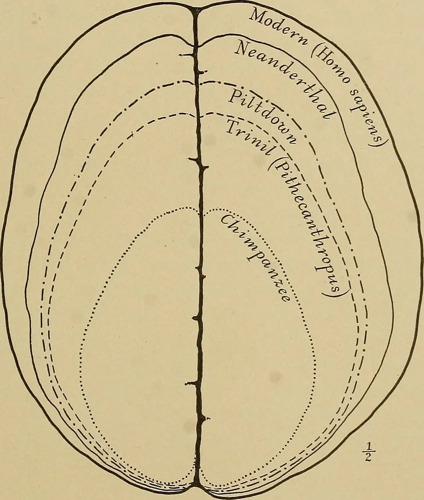An illustration from Men of the old stone age, their environment, life and art, 1915, leaf 94