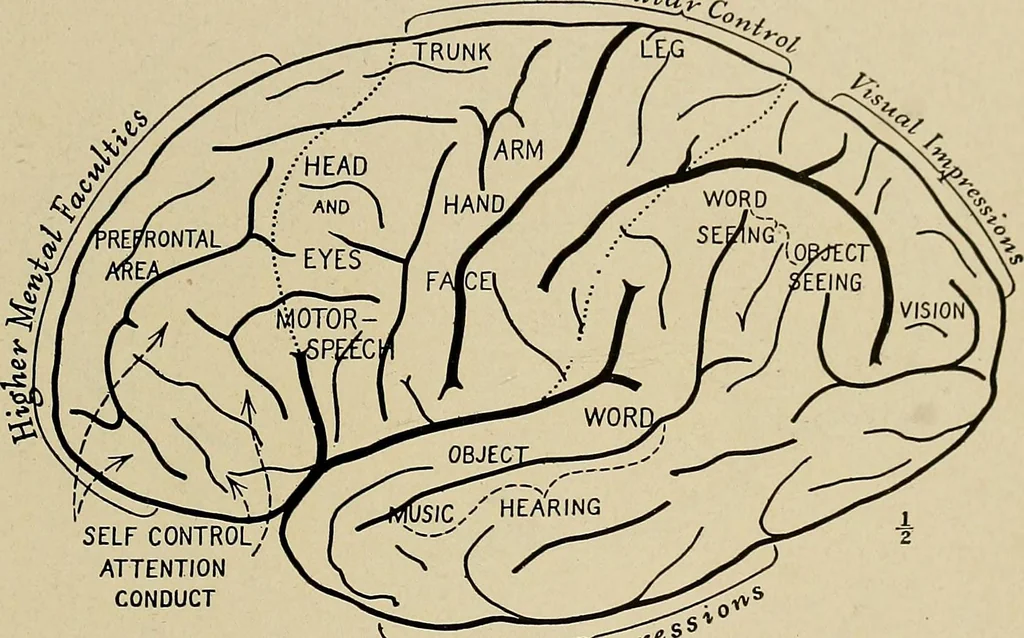 An illustration from Men of the old stone age, their environment, life and art, 1918, leaf 100