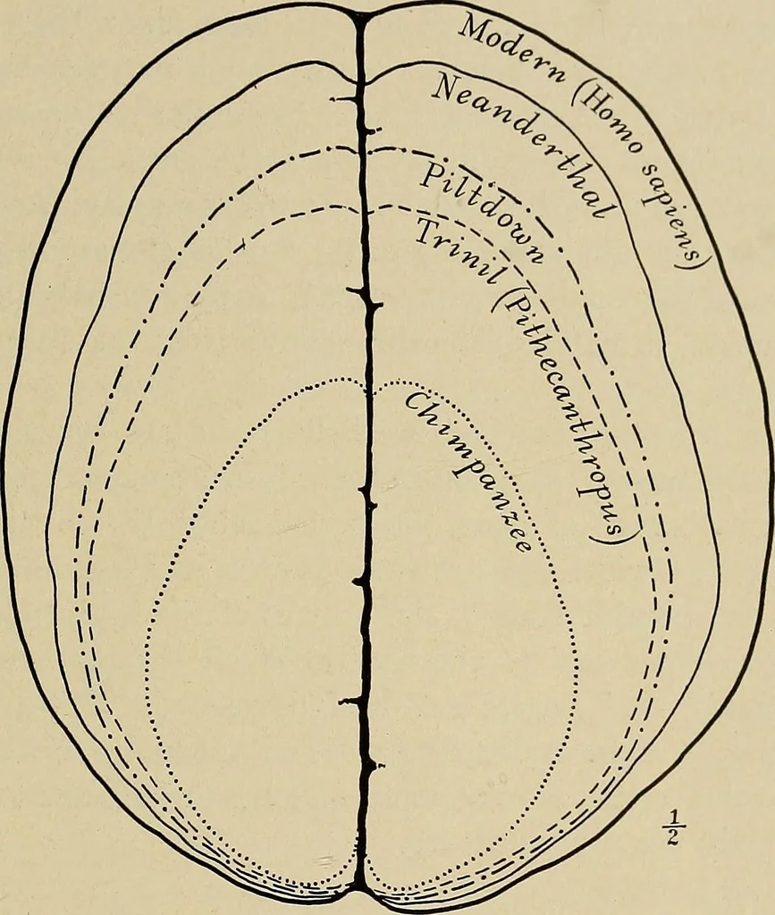An illustration from Men of the old stone age, their environment, life and art, 1918, leaf 102