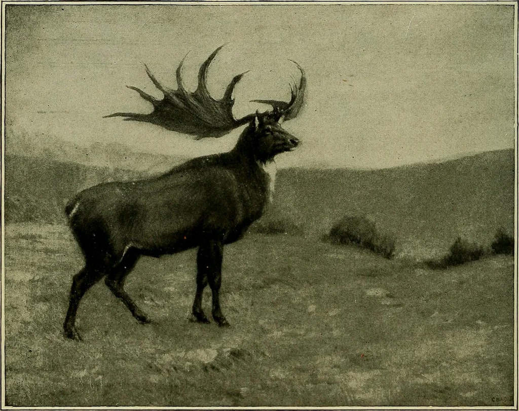 An illustration from Men of the old stone age, their environment, life and art, 1918, leaf 111