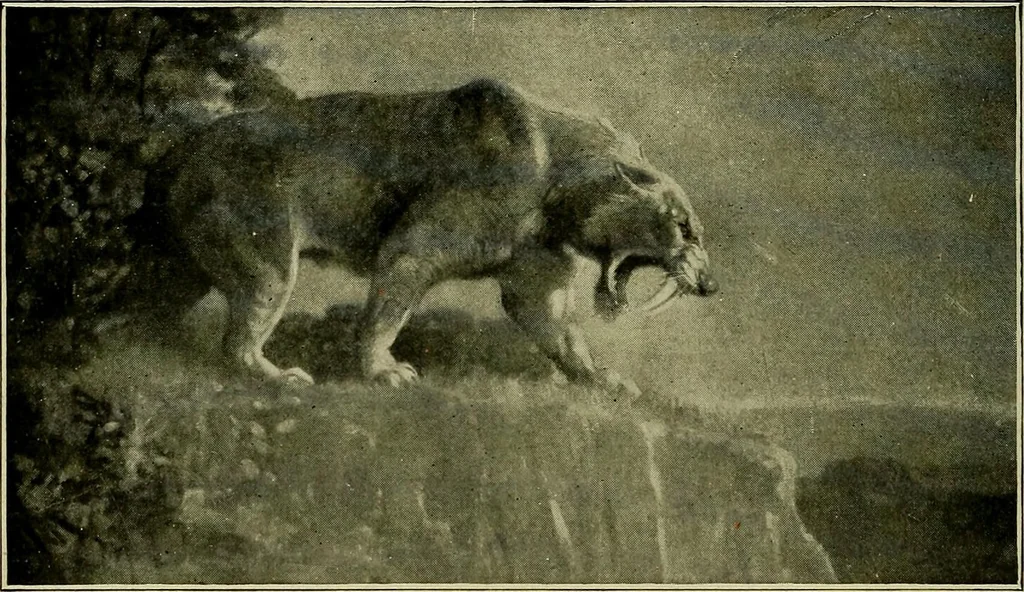 An illustration from Men of the old stone age, their environment, life and art, 1918, leaf 113