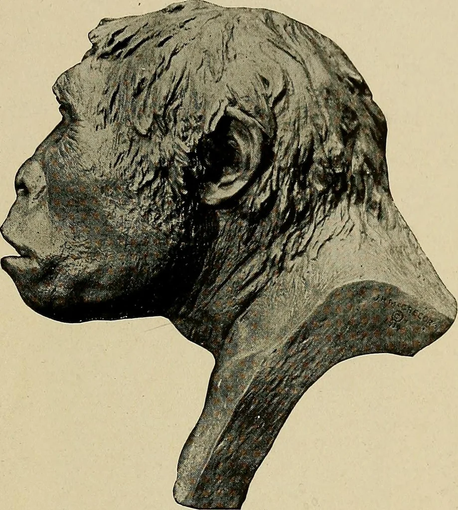 An illustration from Men of the old stone age, their environment, life and art, 1918, leaf 124