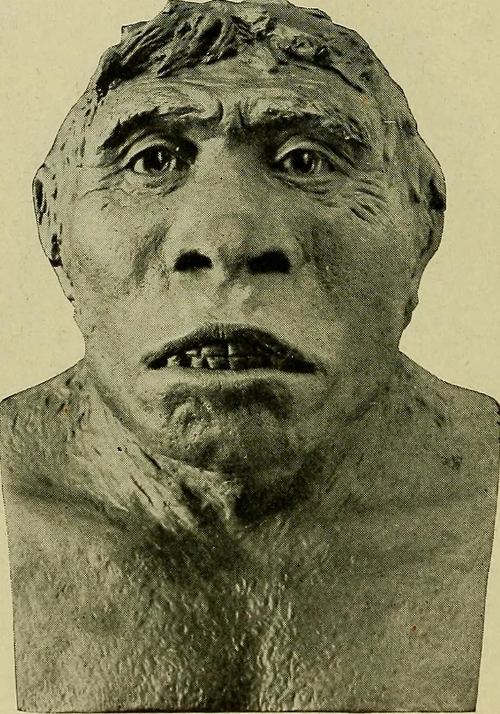 An illustration from Men of the old stone age, their environment, life and art, 1918, leaf 125