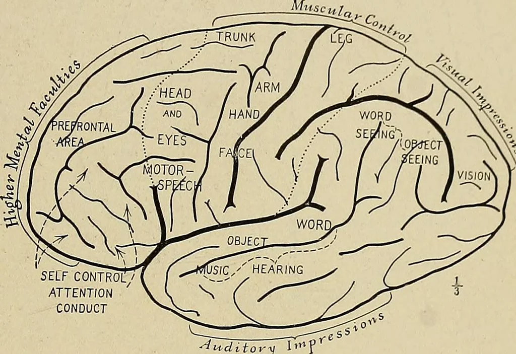 An illustration from Men of the old stone age, their environment, life and art, 1918, leaf 126