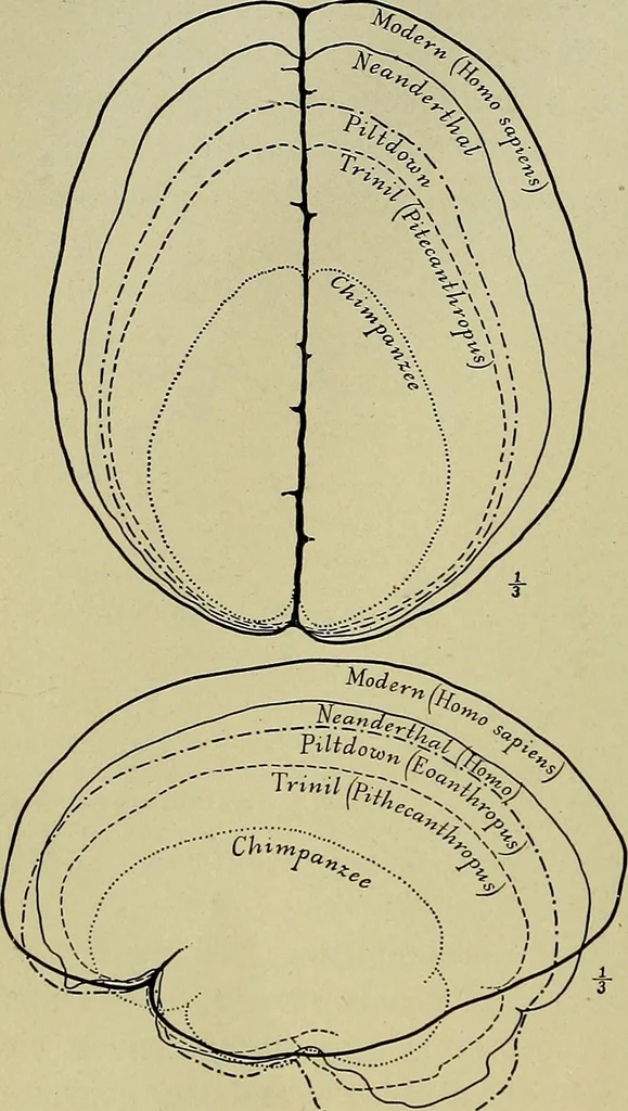 An illustration from Men of the old stone age, their environment, life and art, 1918, leaf 127