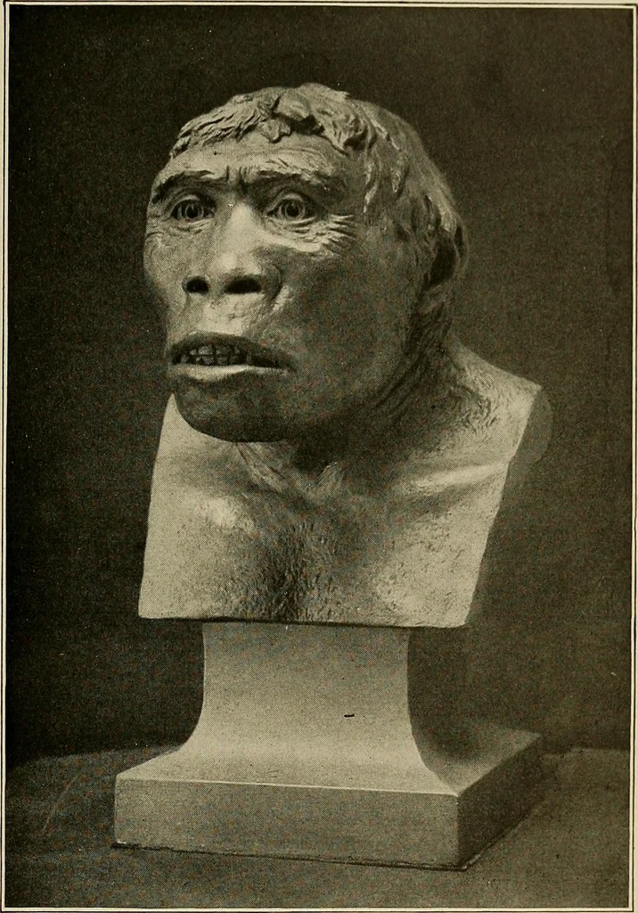 An illustration from Men of the old stone age, their environment, life and art, 1918, leaf 130