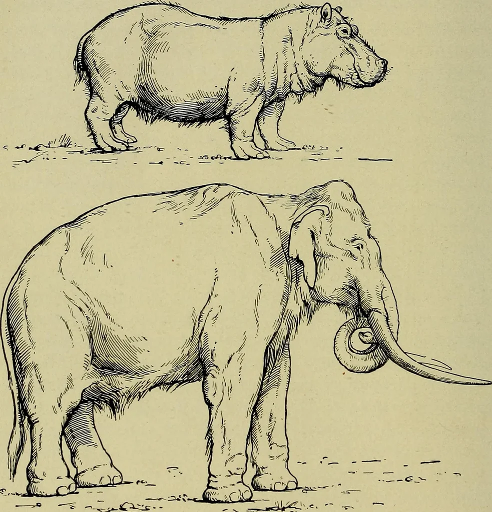 An illustration from Men of the old stone age, their environment, life and art, 1918, leaf 135
