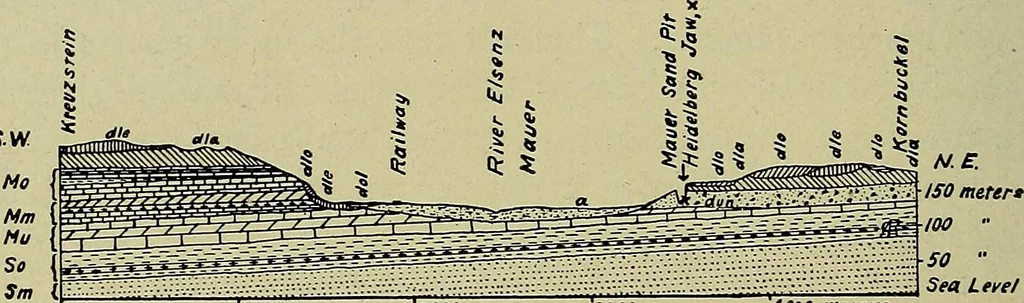 An illustration from Men of the old stone age, their environment, life and art, 1918, leaf 139