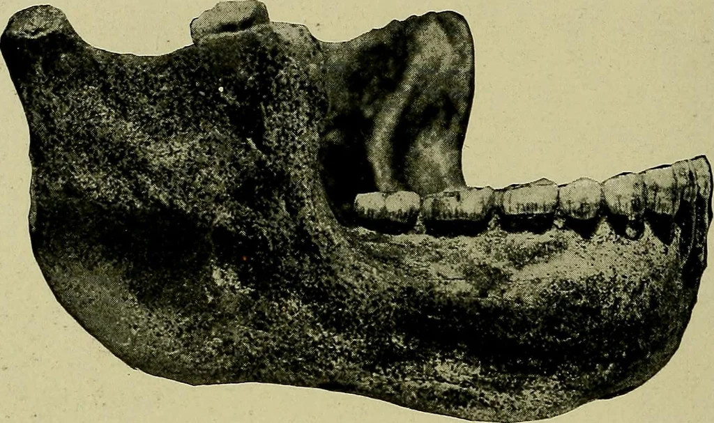 An illustration from Men of the old stone age, their environment, life and art, 1918, leaf 141
