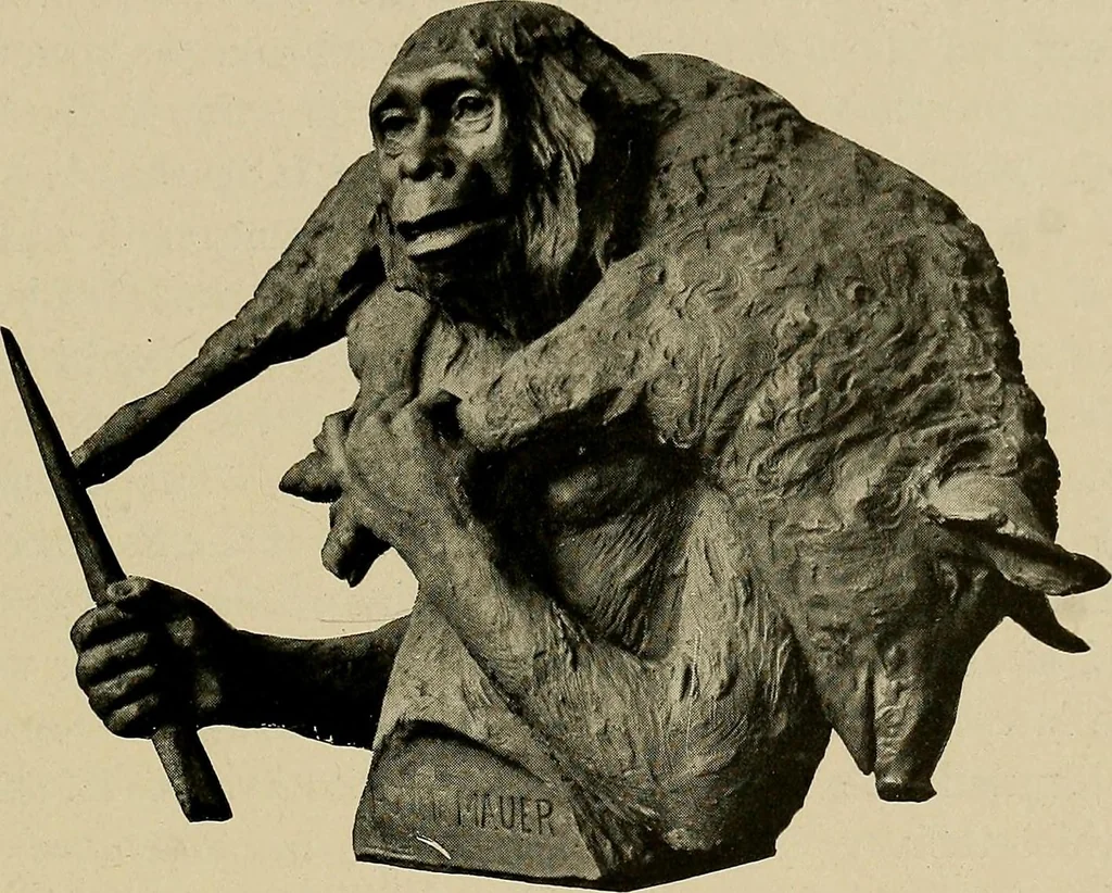An illustration from Men of the old stone age, their environment, life and art, 1918, leaf 144