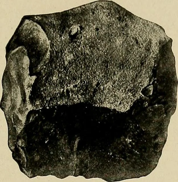 An illustration from Men of the old stone age, their environment, life and art, 1918, leaf 164