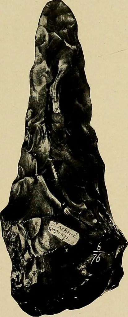 An illustration from Men of the old stone age, their environment, life and art, 1918, leaf 164