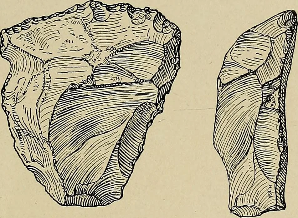 An illustration from Men of the old stone age, their environment, life and art, 1918, leaf 172