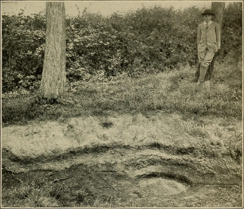 An illustration from Men of the old stone age, their environment, life and art, 1918, leaf 174