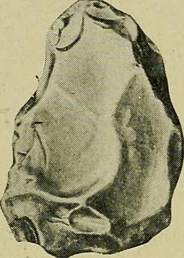 An illustration from Men of the old stone age, their environment, life and art, 1918, leaf 177