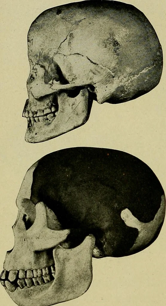 An illustration from Men of the old stone age, their environment, life and art, 1918, leaf 179
