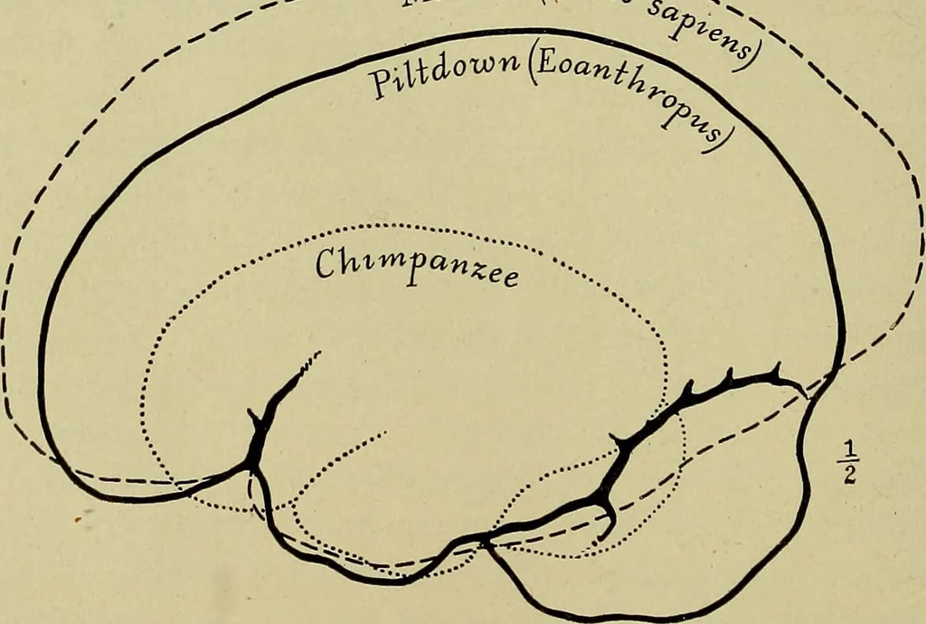An illustration from Men of the old stone age, their environment, life and art, 1918, leaf 183