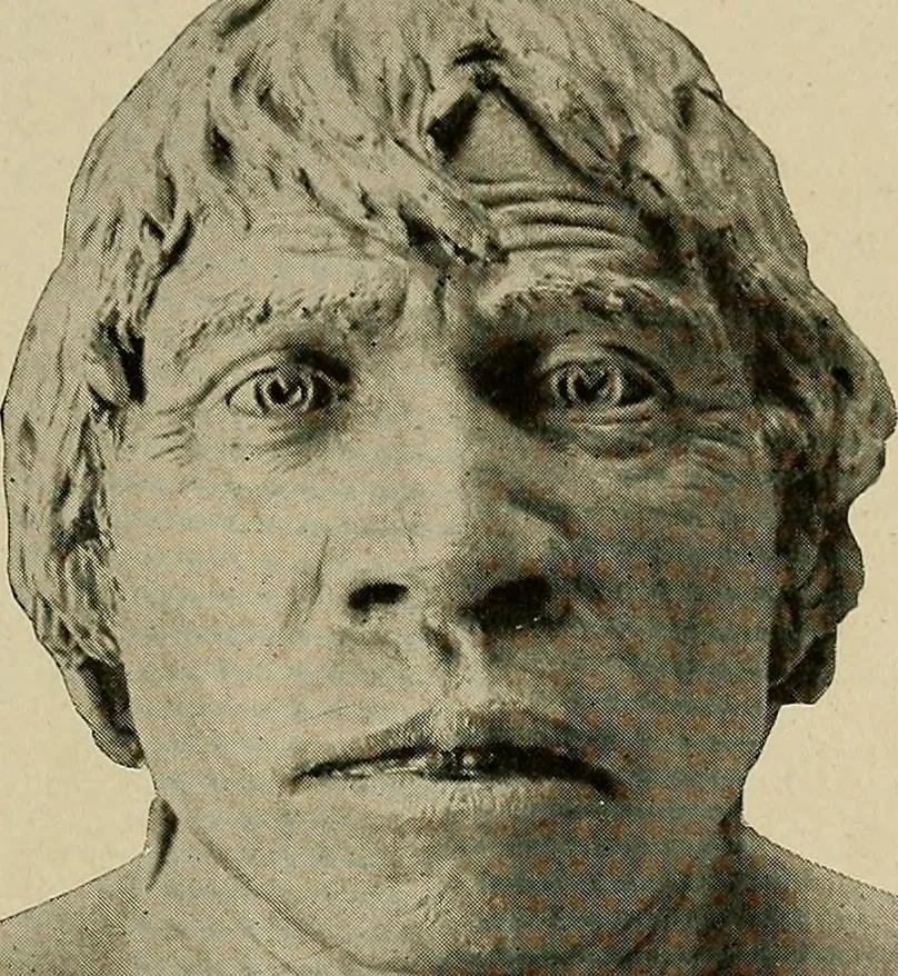 An illustration from Men of the old stone age, their environment, life and art, 1918, leaf 186