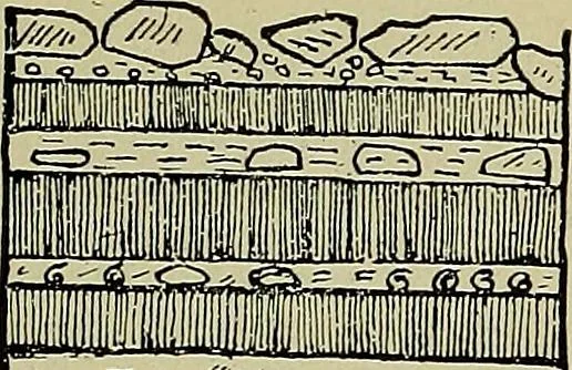 An illustration from Men of the old stone age, their environment, life and art, 1918, leaf 207