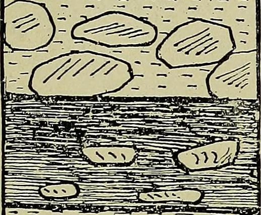 An illustration from Men of the old stone age, their environment, life and art, 1918, leaf 207