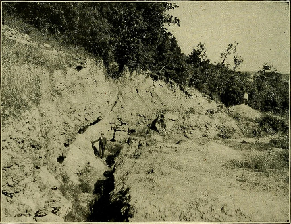 An illustration from Men of the old stone age, their environment, life and art, 1918, leaf 211