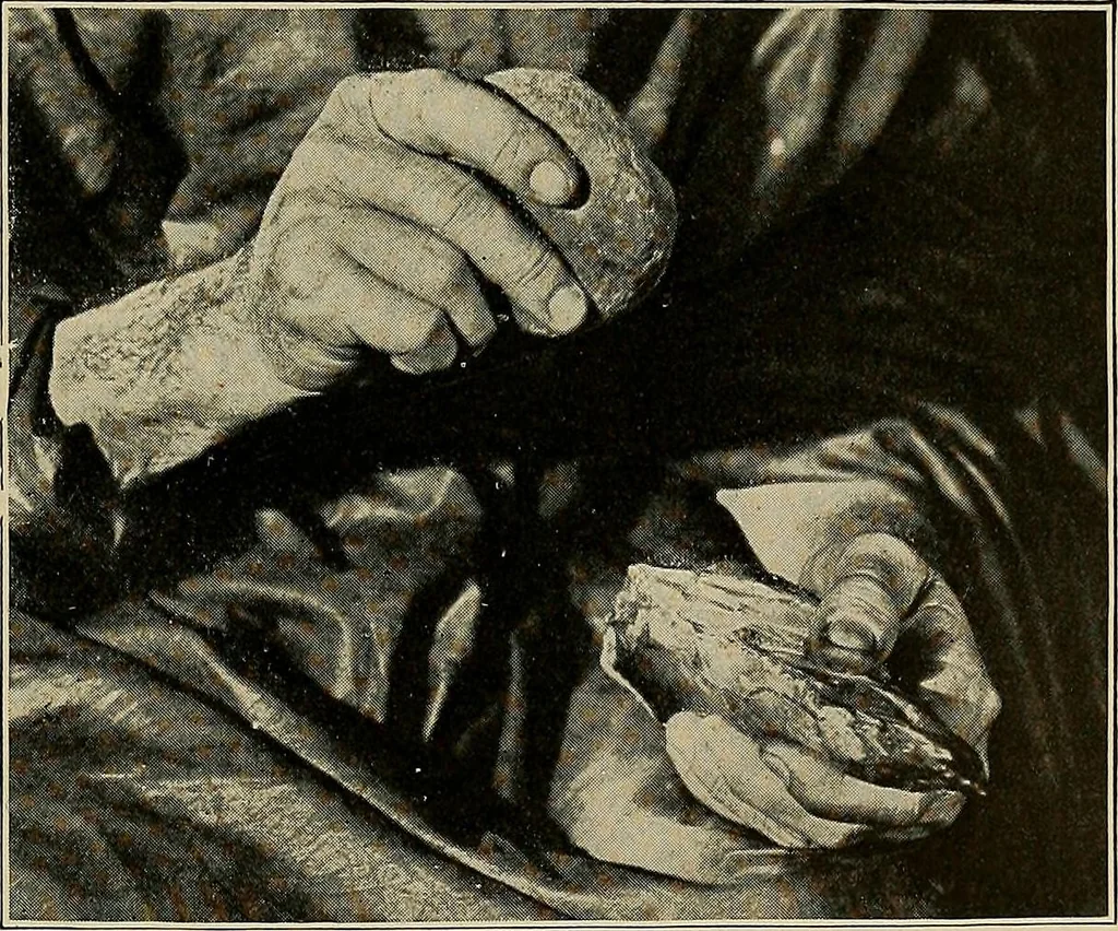 An illustration from Men of the old stone age, their environment, life and art, 1918, leaf 212