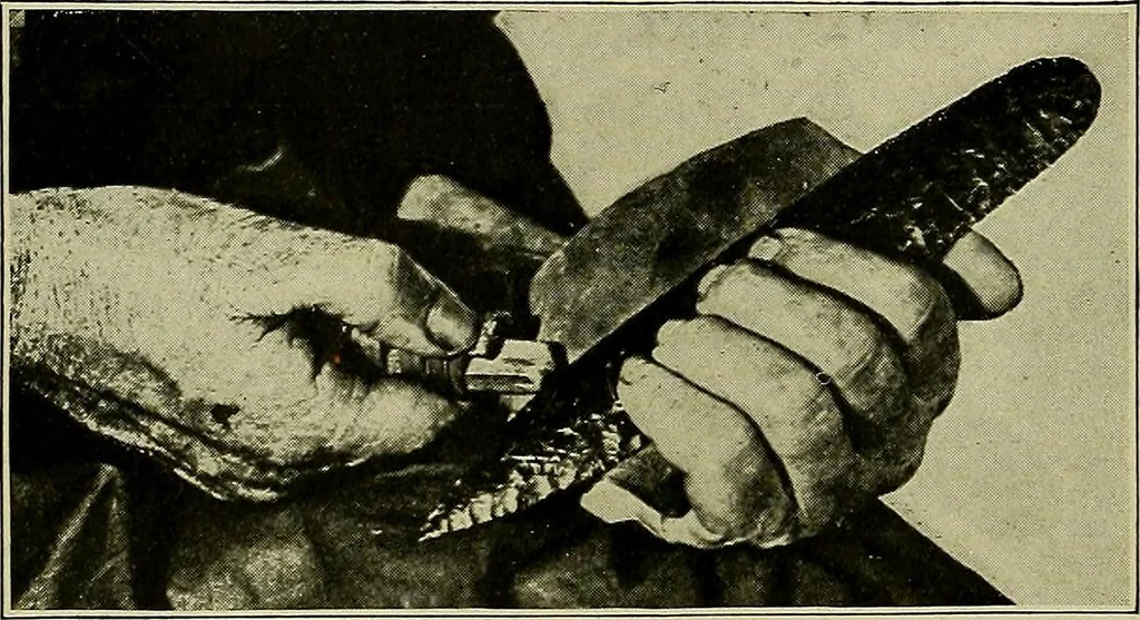 An illustration from Men of the old stone age, their environment, life and art, 1918, leaf 213