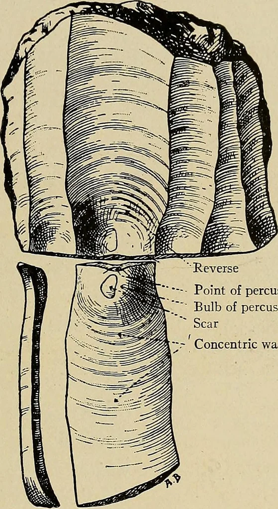 An illustration from Men of the old stone age, their environment, life and art, 1918, leaf 214
