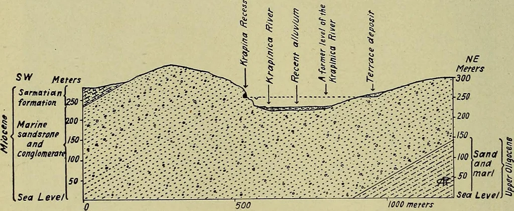 An illustration from Men of the old stone age, their environment, life and art, 1918, leaf 225