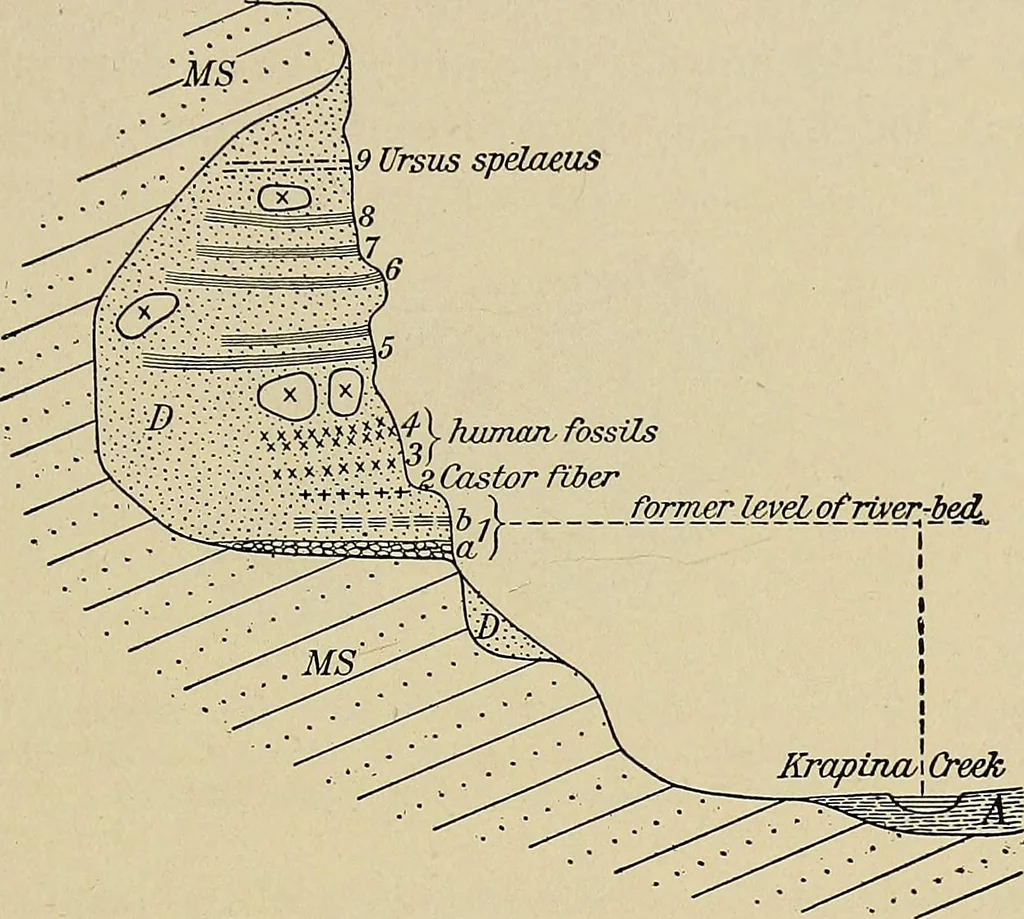 An illustration from Men of the old stone age, their environment, life and art, 1918, leaf 226