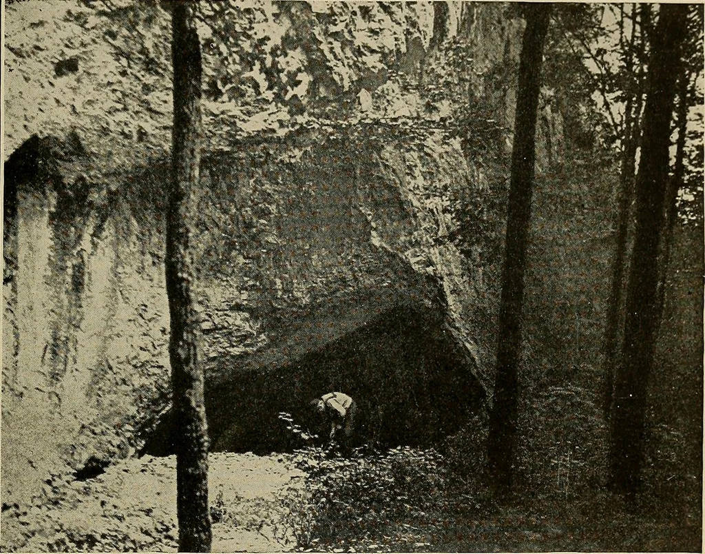 An illustration from Men of the old stone age, their environment, life and art, 1918, leaf 244