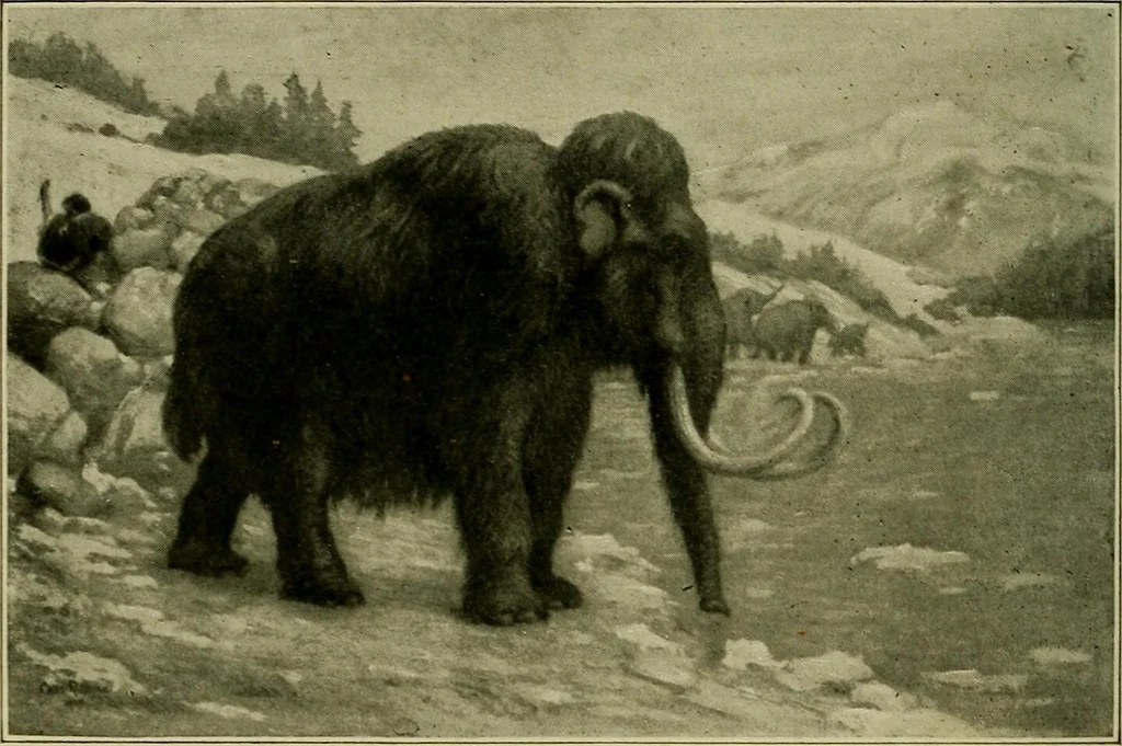 An illustration from Men of the old stone age, their environment, life and art, 1918, leaf 251