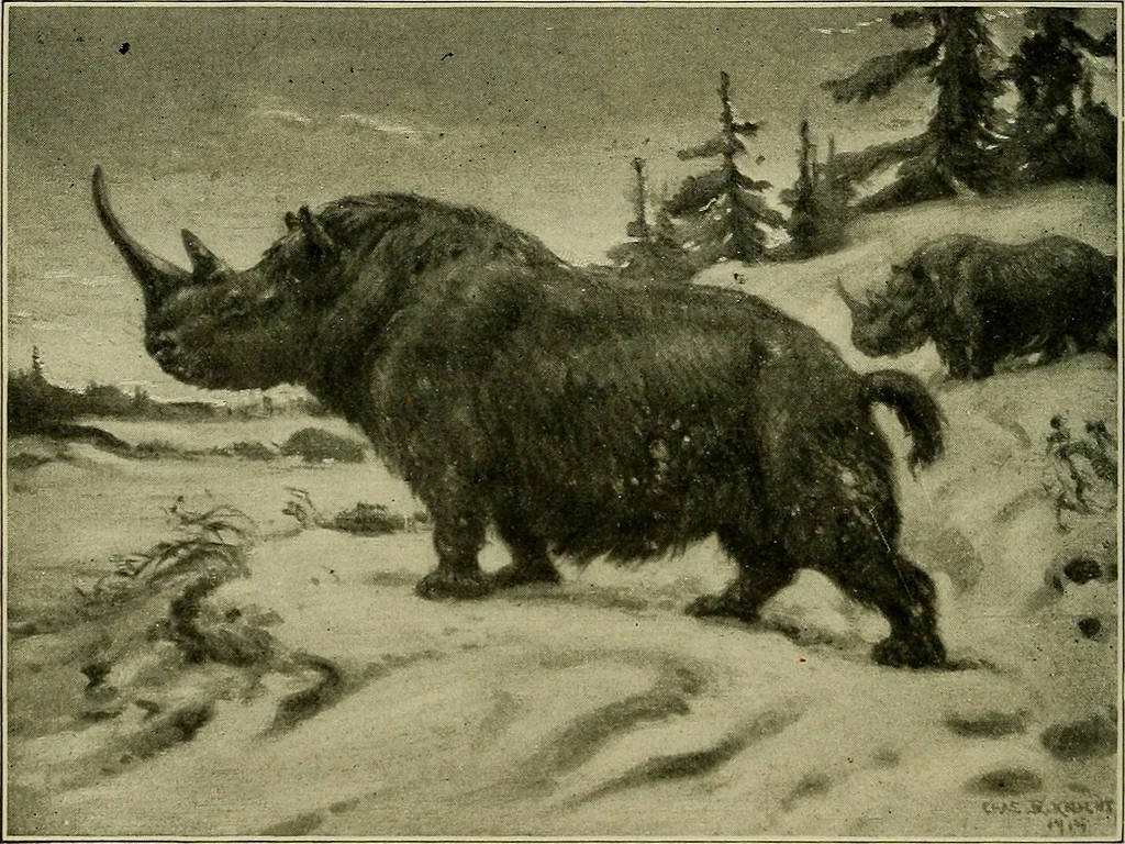 An illustration from Men of the old stone age, their environment, life and art, 1918, leaf 253