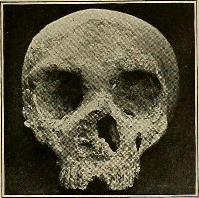 An illustration from Men of the old stone age, their environment, life and art, 1918, leaf 258