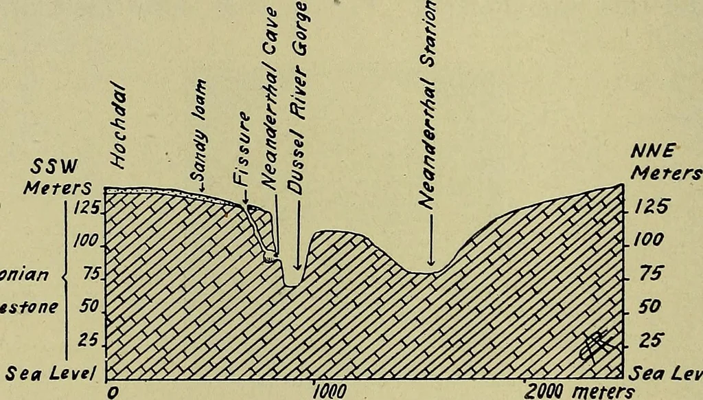 An illustration from Men of the old stone age, their environment, life and art, 1918, leaf 259