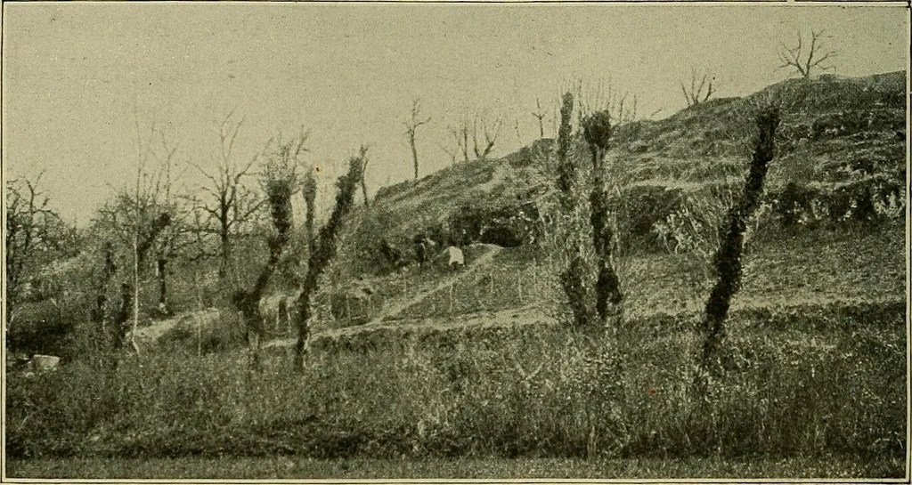 An illustration from Men of the old stone age, their environment, life and art, 1918, leaf 265